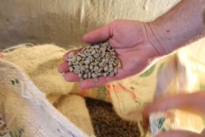 Berg Coffee Roastery