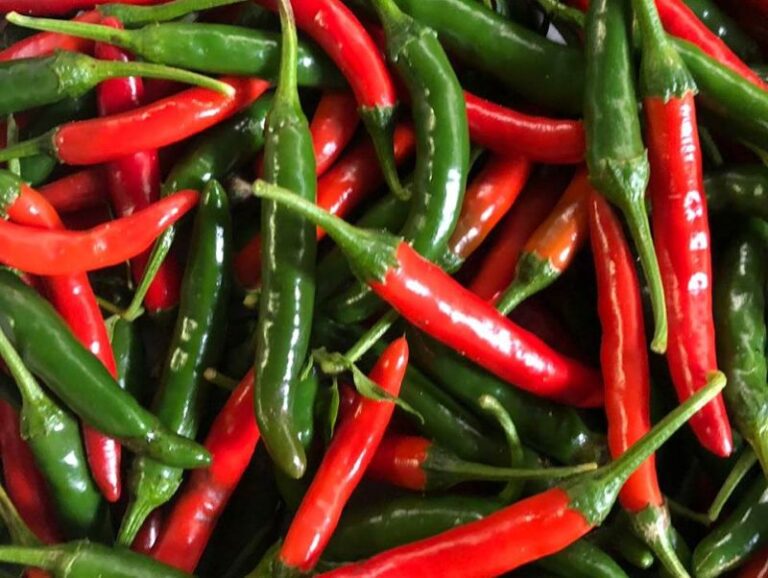 Piket Bo Berg Farmers Market 12 768x578