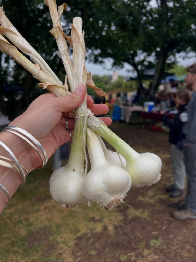 Piket Bo Berg Farmers Market 4 768x1024