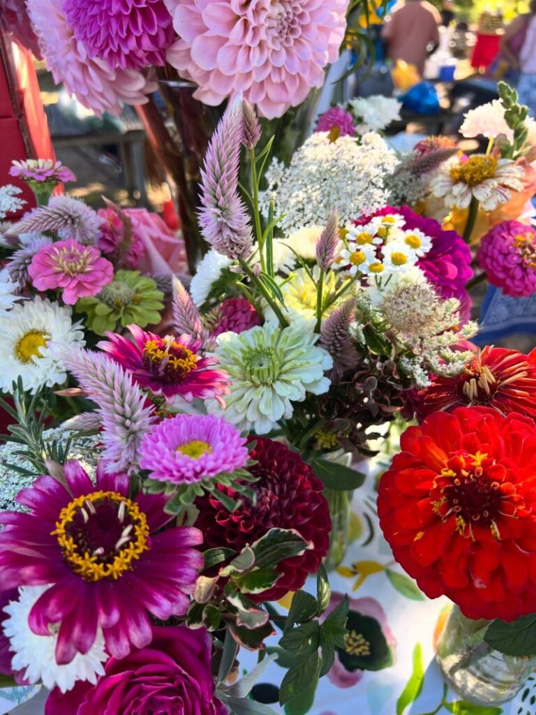 Piket Bo Berg Farmers Market 6 768x1024